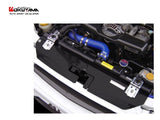 OKUYAMA CARBING CARBON RADIATOR COOLING PLATE - MITSUBISHI EVO CT9A CT9W