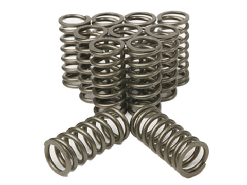 Plazmaman - Toyota 1JZ Heavy Duty Valve Springs – (non VVTi)