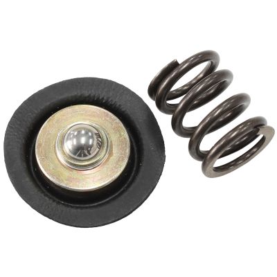 AEROFLOW = Replacement Spring & Diaphragm Assembly Suit AF66-2058 Fuel Regulator