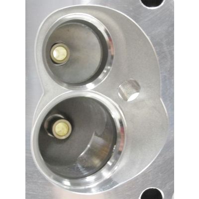 AeroFlow=Bare Small Block Ford Windsor 289-351 175cc Aluminum Cylinder Heads