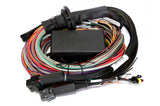 Haltech elite 2500 Ecu Computer + Premium Universal Wire - In Harness Kit 5m